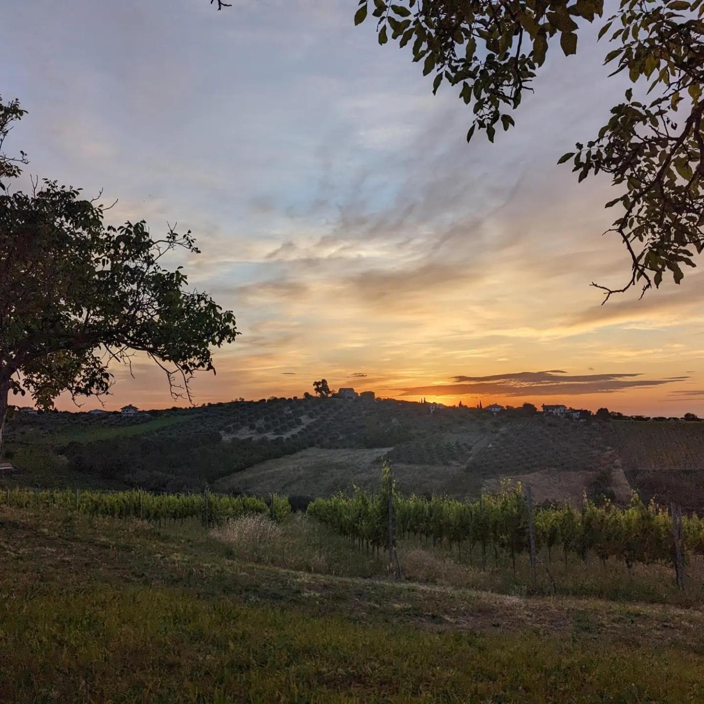 Agriturismo Torre Mannella - La Loggia ชิตตา ซานตันเจโล ภายนอก รูปภาพ